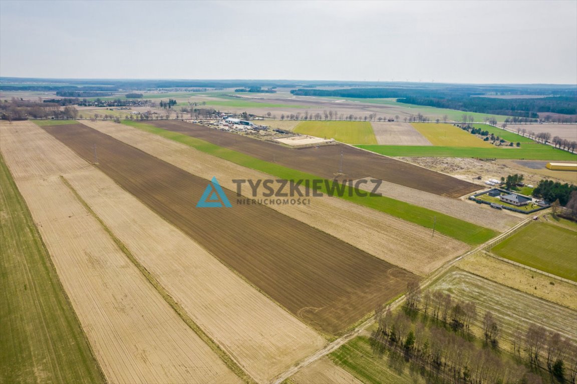 Działka rolna na sprzedaż Stara Dąbrowa  60 000m2 Foto 4