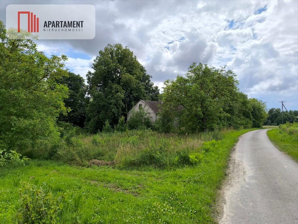 Działka 4,17ha z lasami i media, blisko uzdrowiska Grzybów  41 700m2 Foto 1