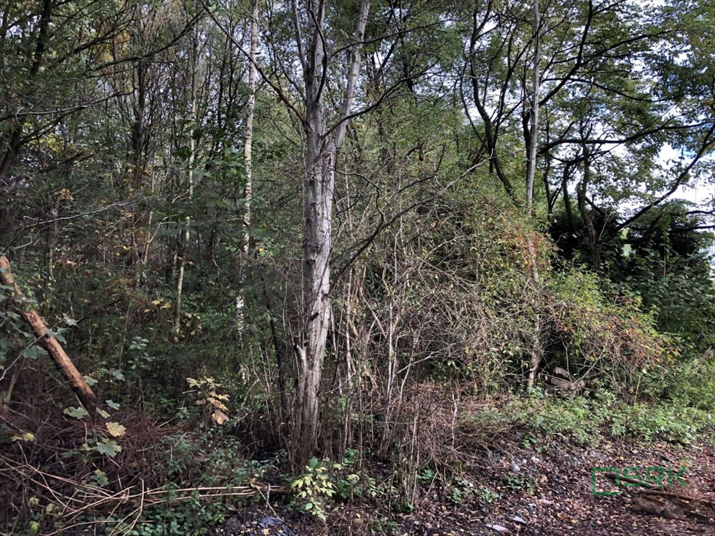 Działka inna na sprzedaż Jankowice, Jankowice, Świerklańska  3 589m2 Foto 1