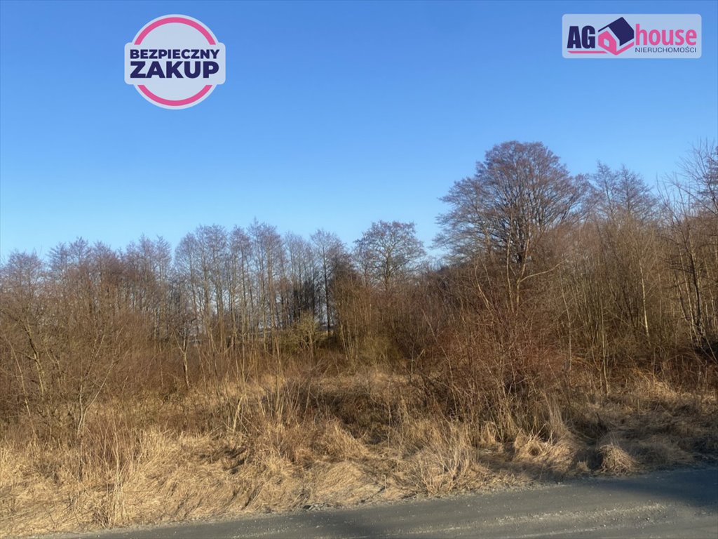 Działka rolna 11 618 m² z widokiem na Zatokę Pucką Władysławowo, Bohaterów Kaszubskich  11 618m2 Foto 1