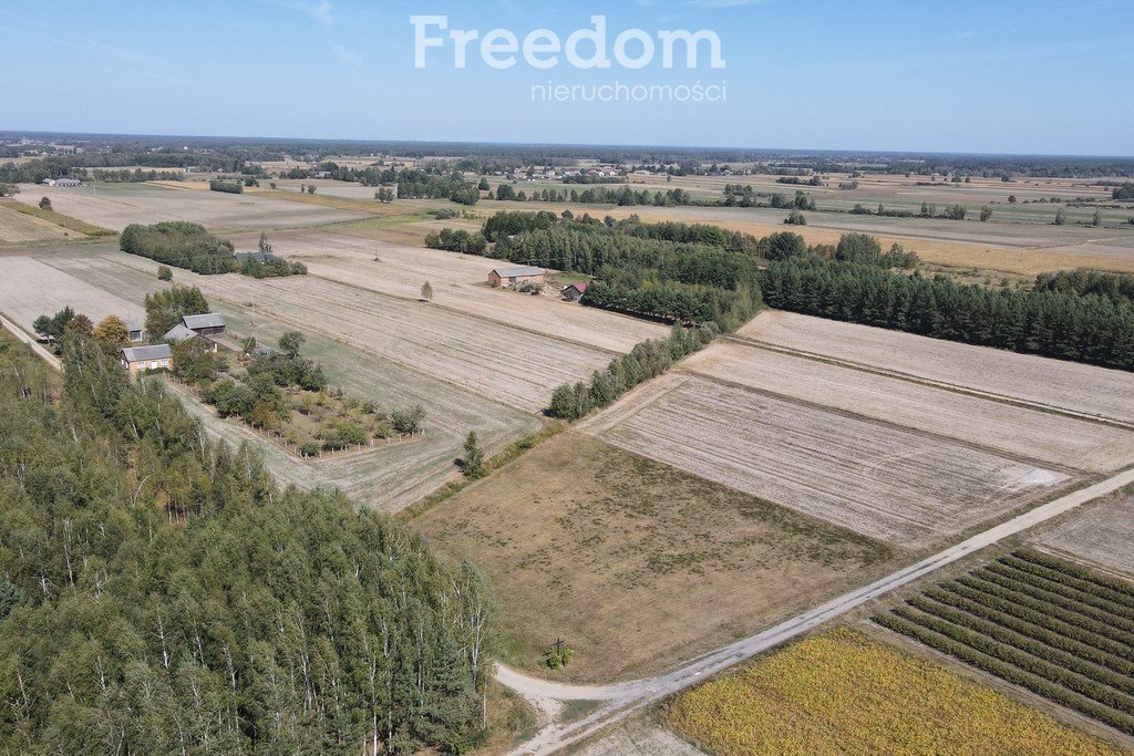 Działka inna na sprzedaż Musiejówka  8 100m2 Foto 8