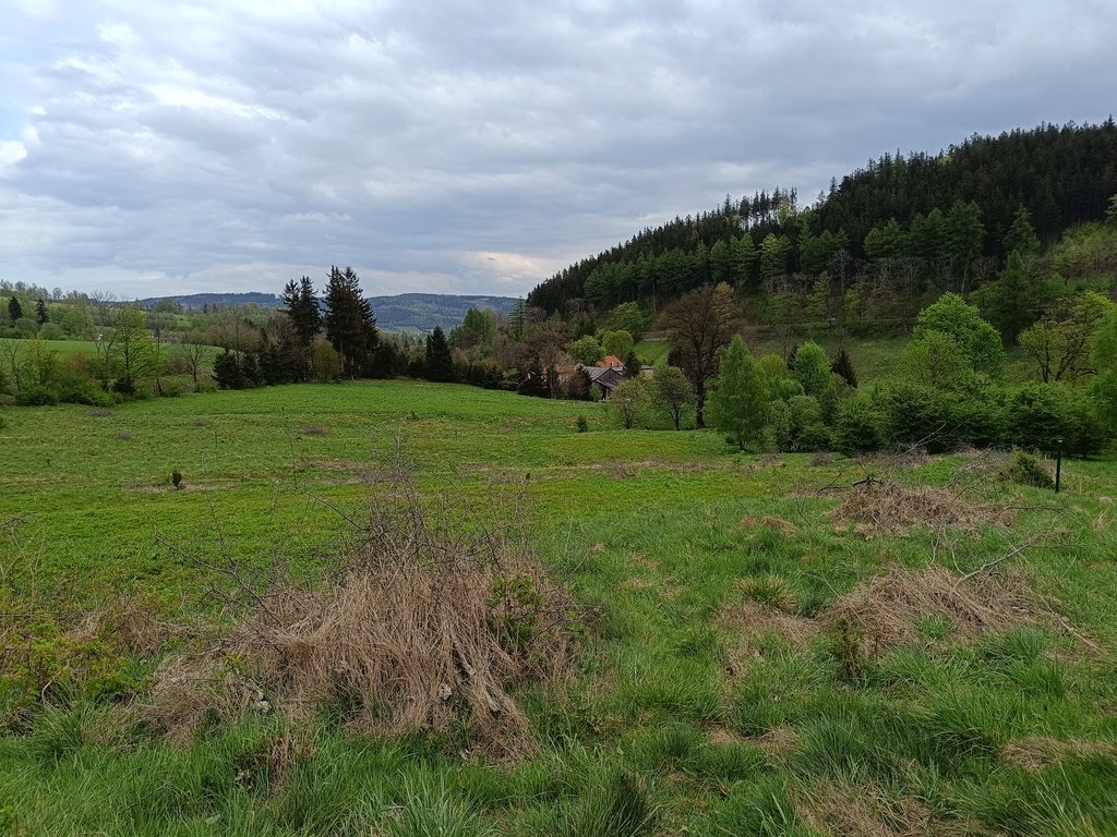 Działka budowlana na sprzedaż Ogorzelec  2 300m2 Foto 8