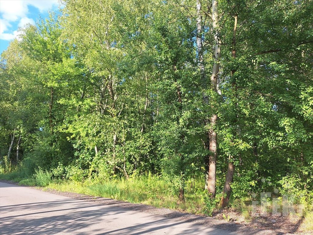 Działka budowlana na sprzedaż Puszcza Mariańska  1 667m2 Foto 1