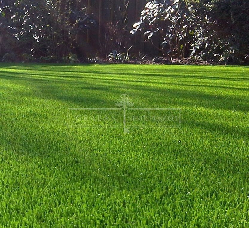 Działka budowlana 1000 m² w Niemczu – kształt kwadratu, MPZP Niemcz  1 000m2 Foto 1