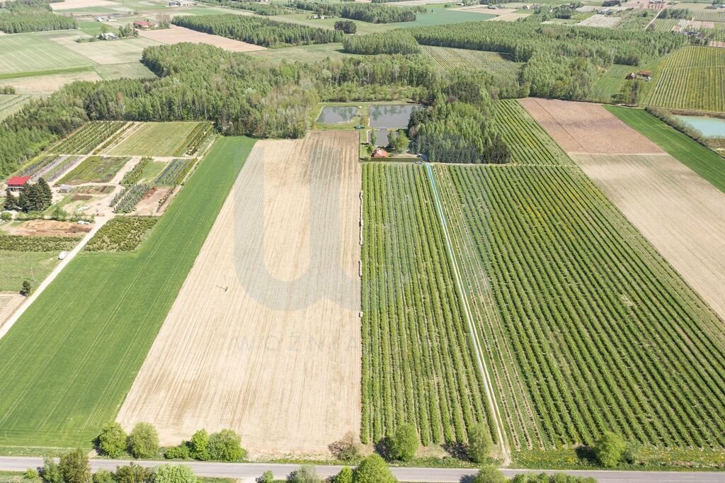 Działka siedliskowa na sprzedaż Zimnice  24 000m2 Foto 11