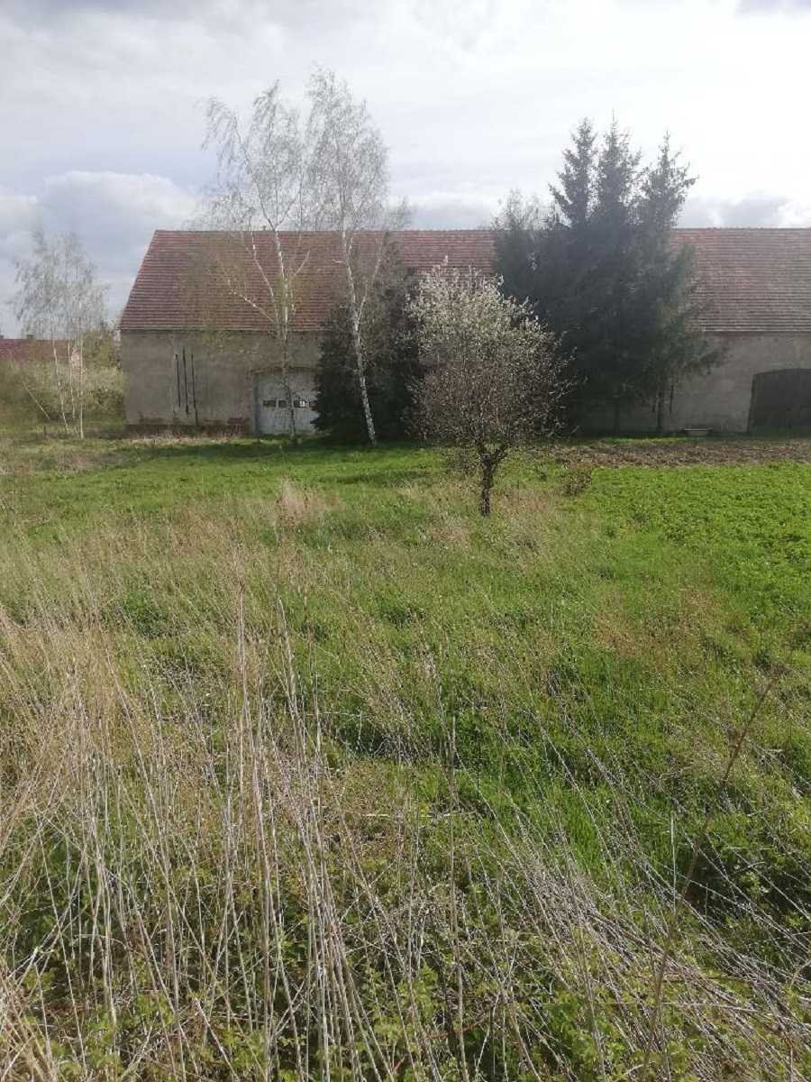 Działka inna na sprzedaż Kunice, Grzybiany  1 000m2 Foto 3