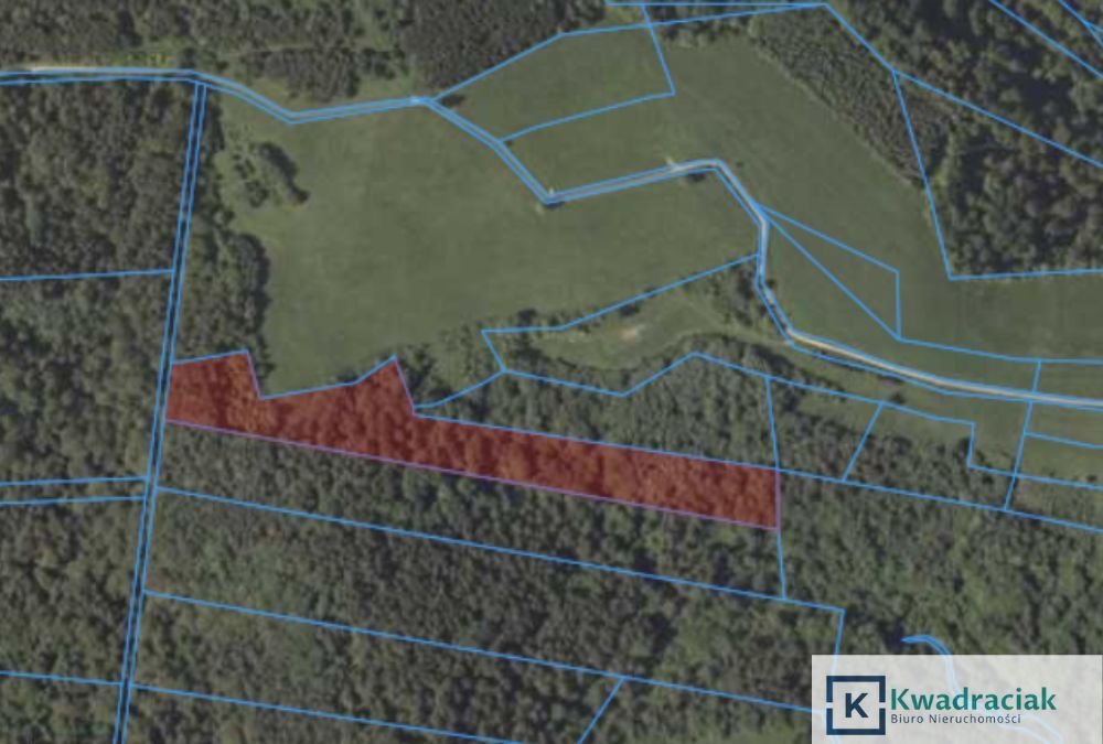 Działka leśna na sprzedaż Łukowe  19 327m2 Foto 9