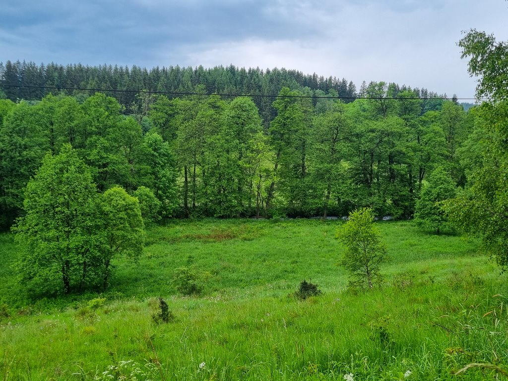 Działka inna na sprzedaż Niemojów  22 900m2 Foto 1