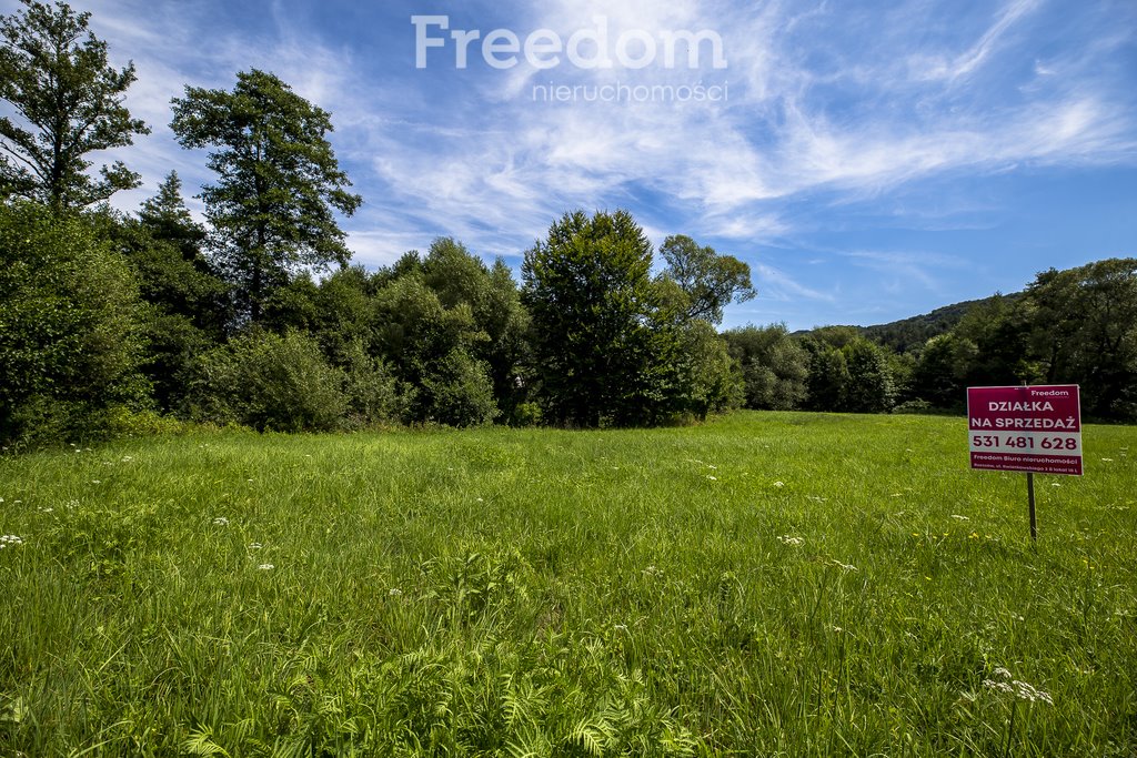 Działka rolna na sprzedaż Cieszyna  9 593m2 Foto 2