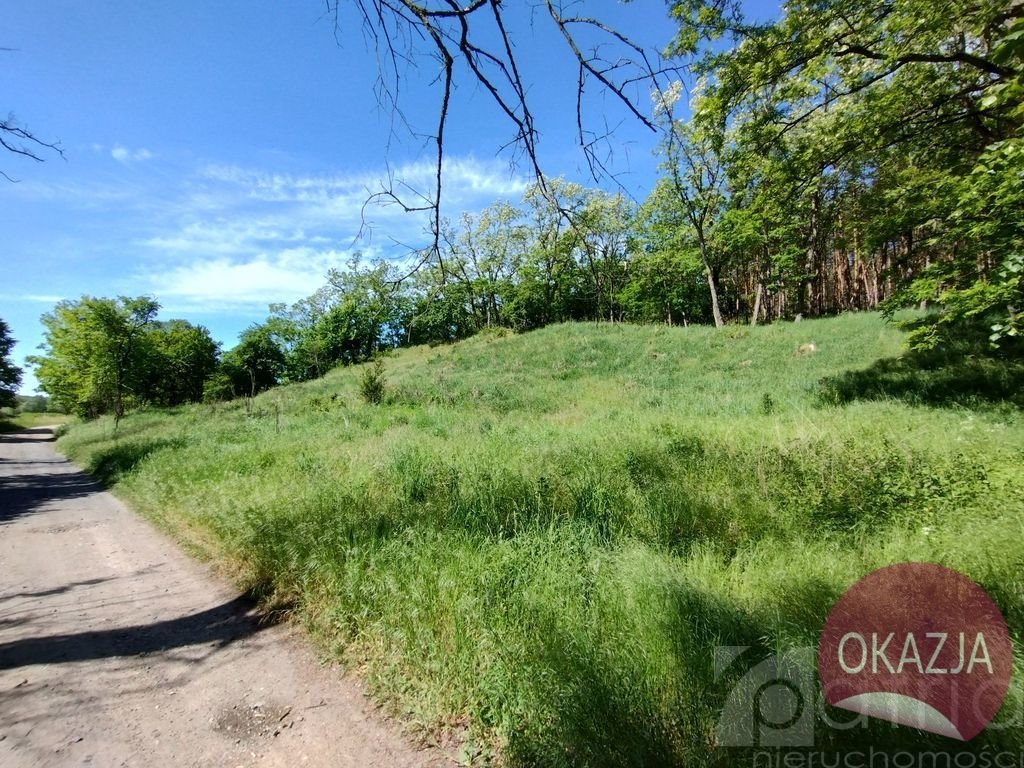 Działka inna na sprzedaż Stary Błeszyn  1 500m2 Foto 7