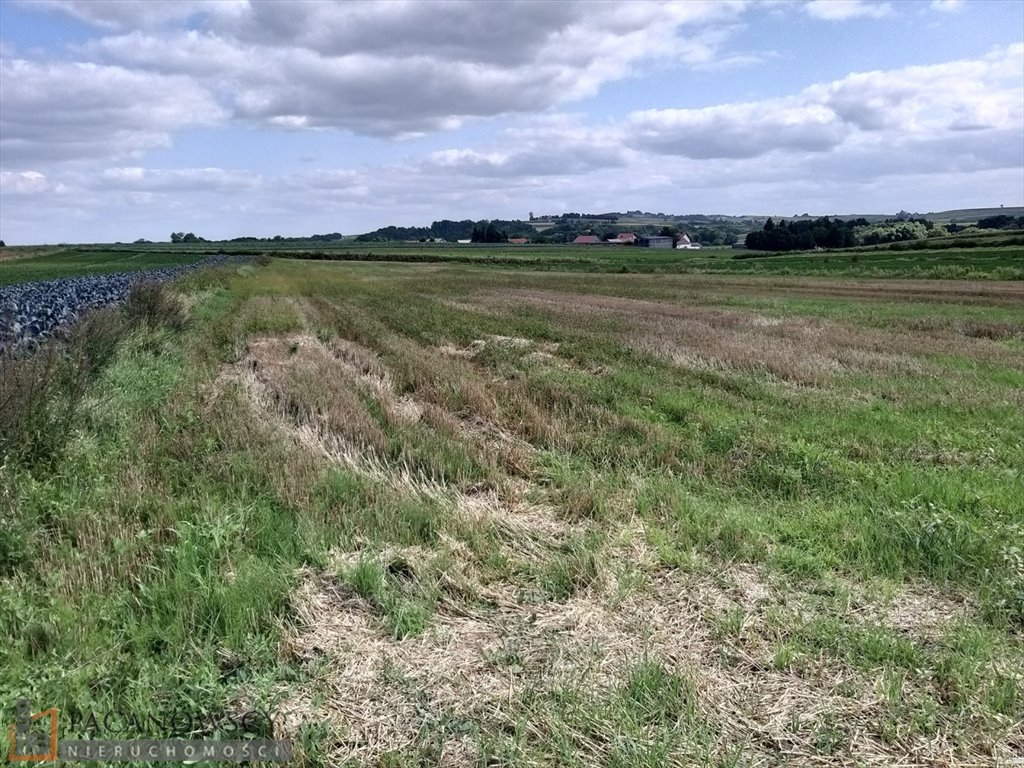 Działka rolna 12 660 m² w Łososkowicach – cicha okolica Łososkowice  12 660m2 Foto 1