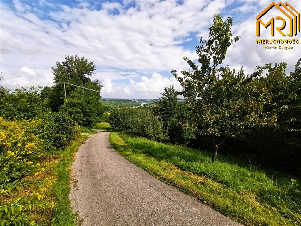 Działka budowlana na sprzedaż Dąbrówka Szczepanowska  3 100m2 Foto 17