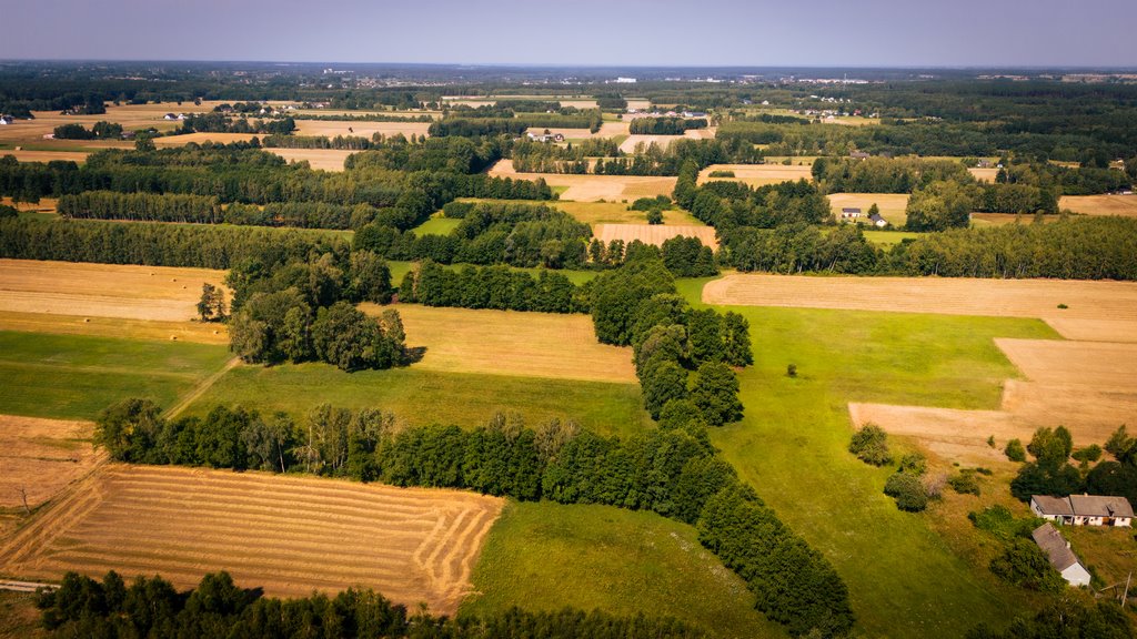 Działka budowlana na sprzedaż Adamów  1 255m2 Foto 4