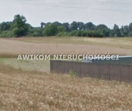 Działka siedliskowa 3416 m² w Kampinosie z warunkami zabudowy Pasikonie  3 416m2 Foto 1