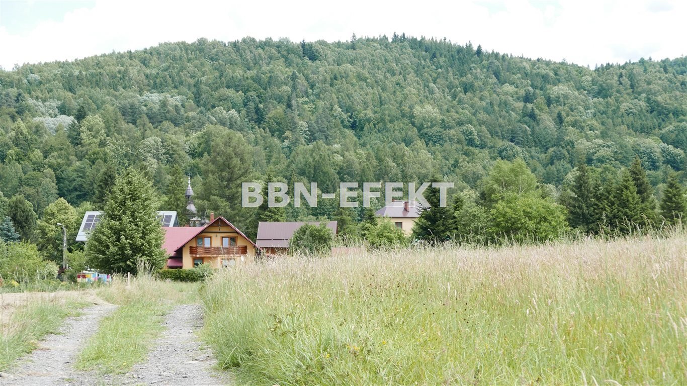 Działka budowlana na sprzedaż Krzyżowa  2 500m2 Foto 2