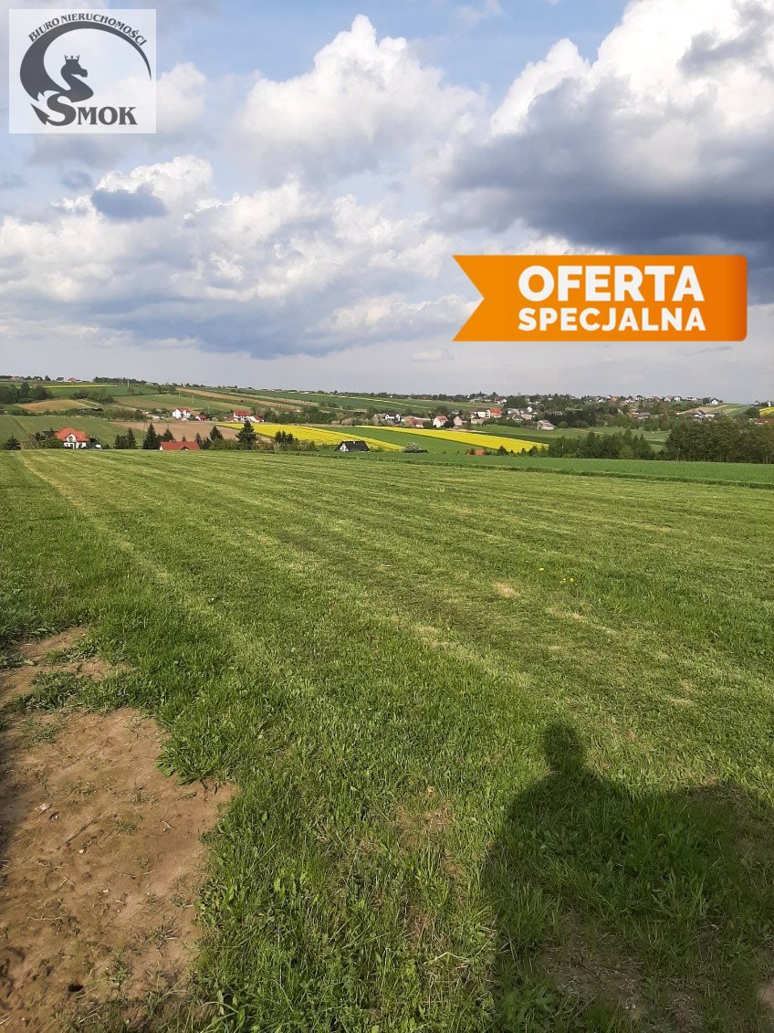 Na sprzedaż widokowa działka z pozwoleniem na budowę domu Cianowice Duże  4 000m2 Foto 1