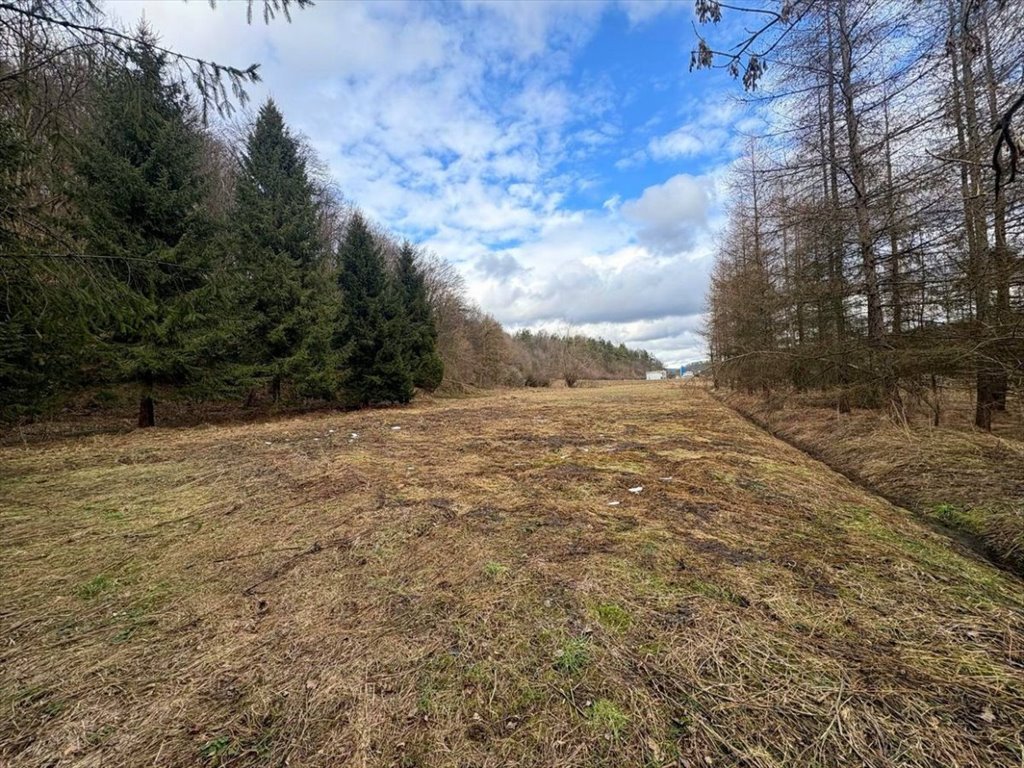 Działka 2,4 ha pod zabudowę i rekreację w Tyrawie Solnej Tyrawa Solna  2 405m2 Foto 1