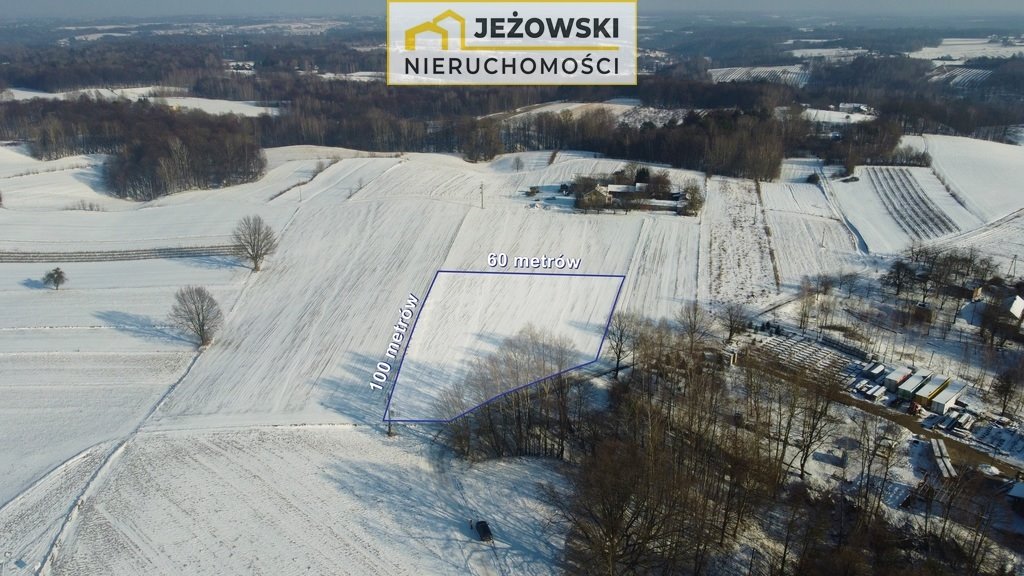 Działka rolna na sprzedaż Wierzchoniów  4 400m2 Foto 3