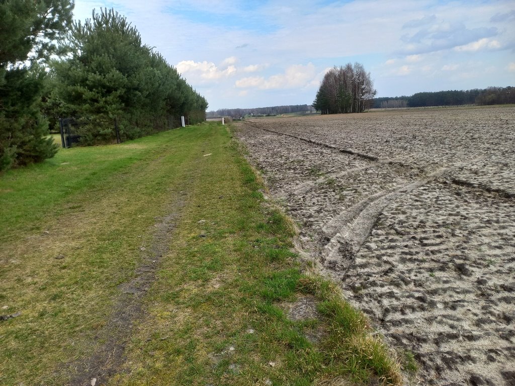 Działka budowlana na sprzedaż Kębliny  3 256m2 Foto 1