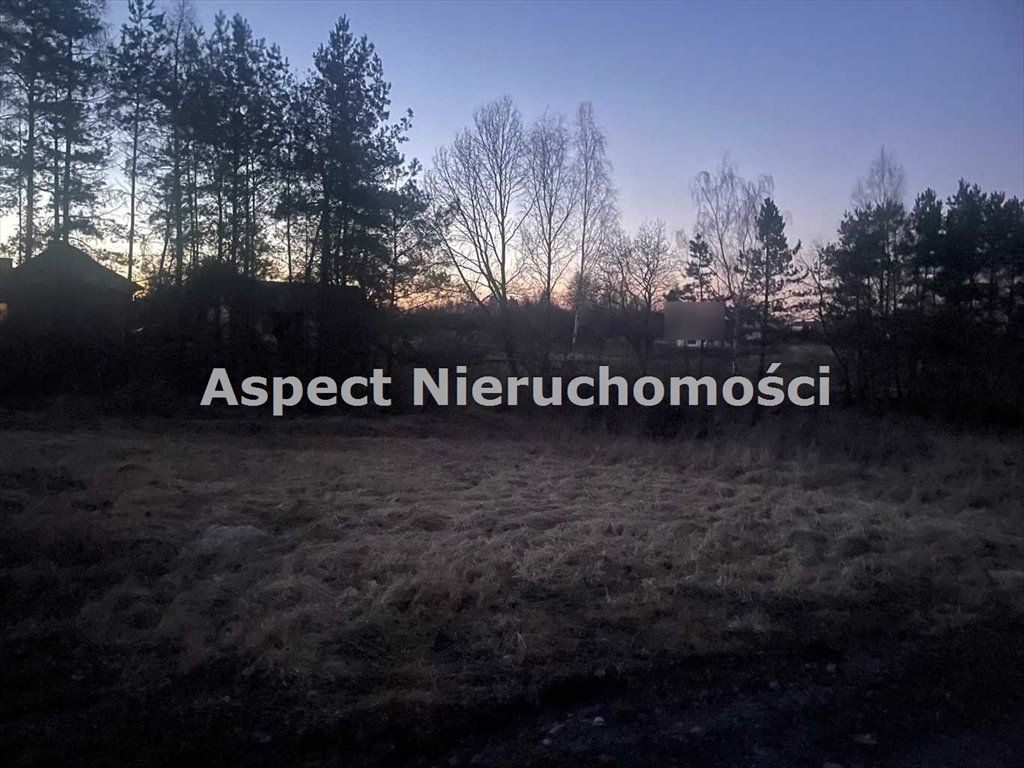 Działka budowlana na sprzedaż Jastrzębie-Zdrój  1 116m2 Foto 2