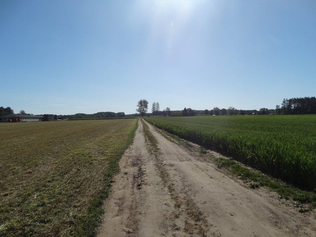 Działka rolna na sprzedaż Spądoszyn  3 000m2 Foto 5