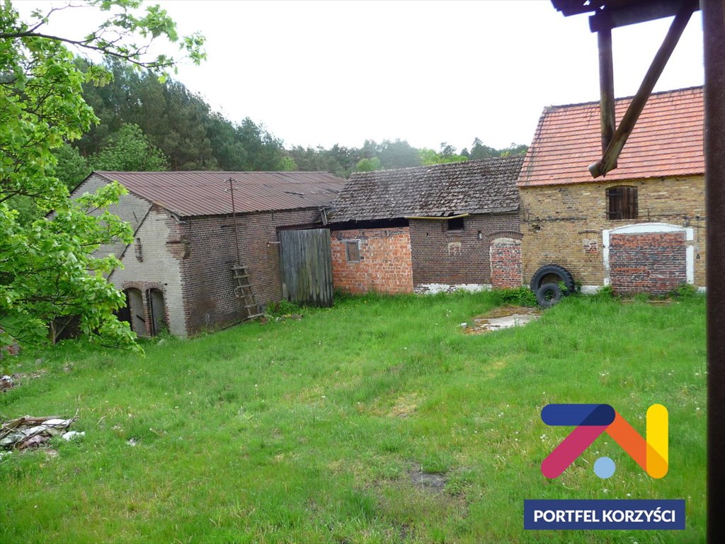Dom z zabudowaniami i potencjałem na hodowlę lub pensjonat Lubsko  64m2 Foto 1