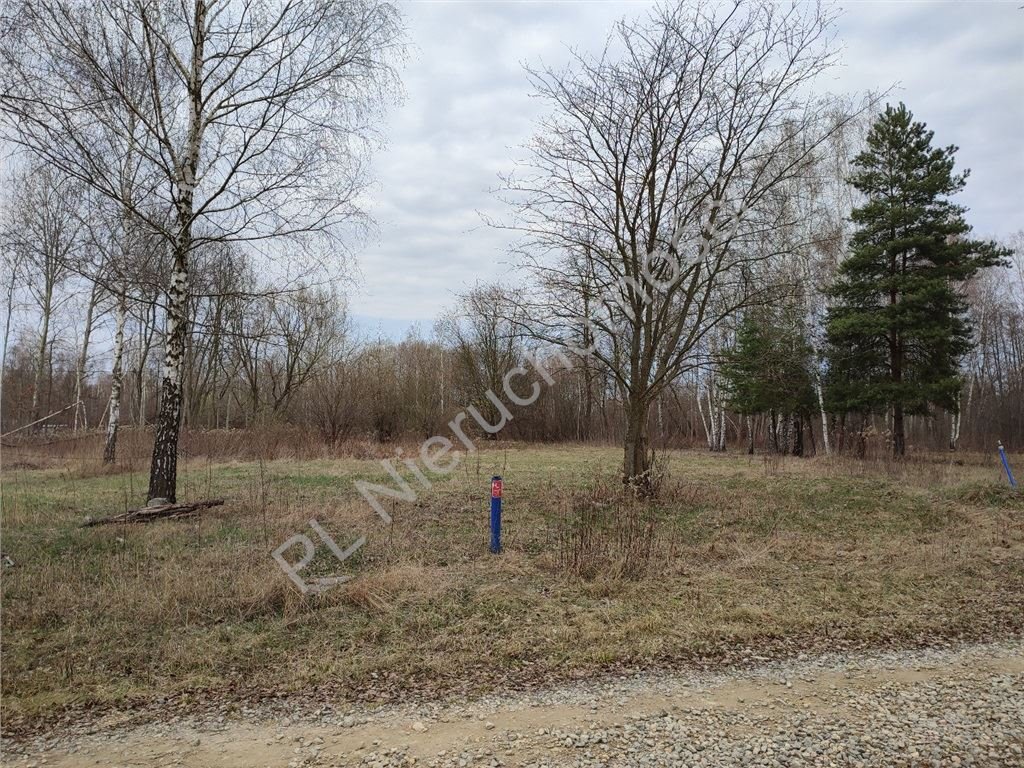 Działka budowlana 6000 m² pod lasem z mediami w Radonii Radonie  6 000m2 Foto 1