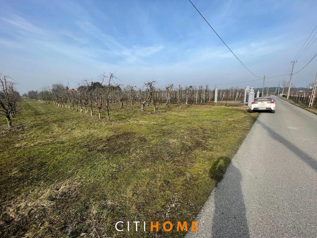 Działka 12 487 m² z warunkami zabudowy i infrastrukturą Pęcław  12 487m2 Foto 1