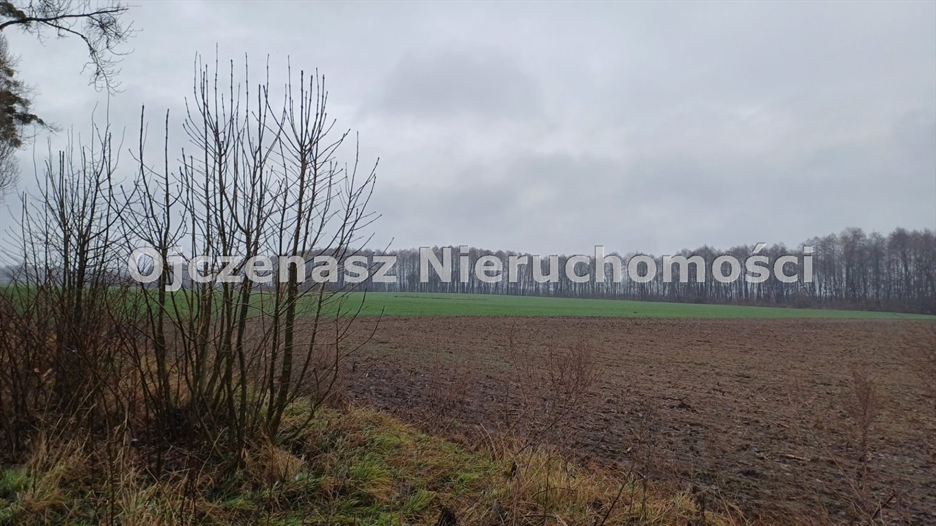 Działka rolna 21 335 m² z możliwością podziału i przekształcenia Więzowno  21 335m2 Foto 1