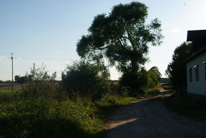 Działka rolna na sprzedaż Kozłowo  3 700m2 Foto 5