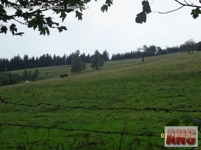 Działki pod zabudowę w Rzeczce, 7-14 arów, uzbrojone Rzeczka  54 200m2 Foto 1