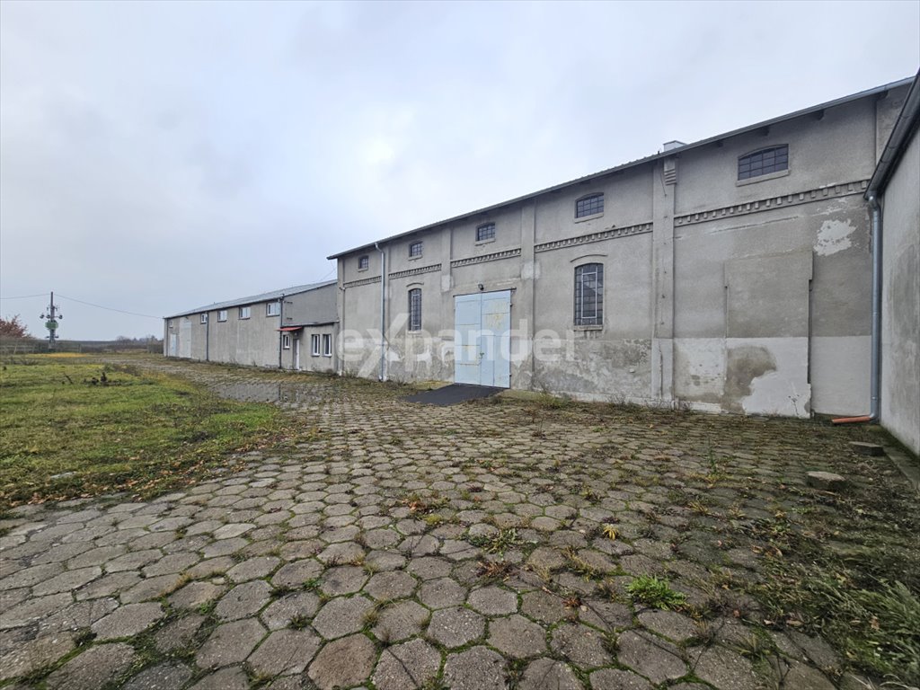 Magazyn na sprzedaż Wierzchosławice  1 410m2 Foto 9