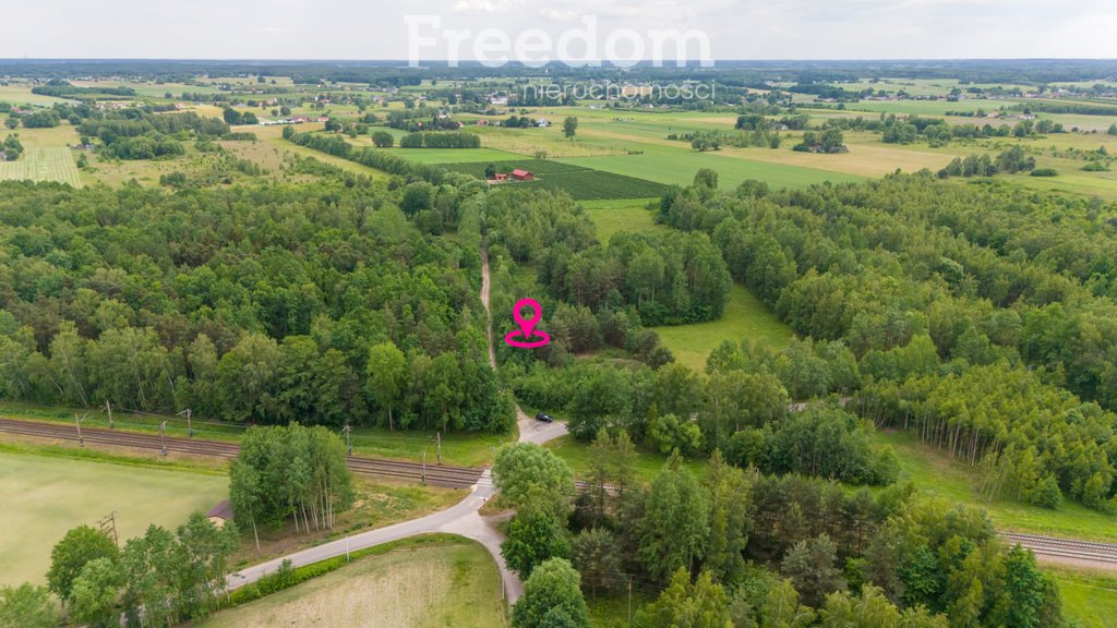 Działka budowlana na sprzedaż Ludwików  3 000m2 Foto 2