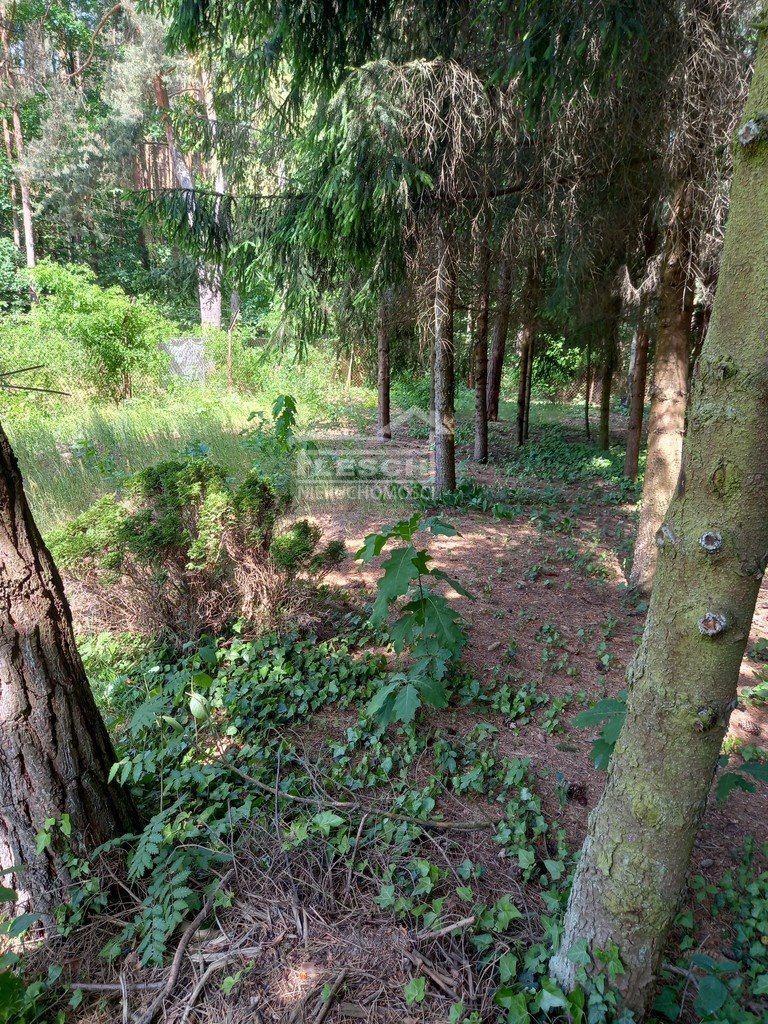 Działka leśna z prawem budowy na sprzedaż Siestrzeń  1 095m2 Foto 6