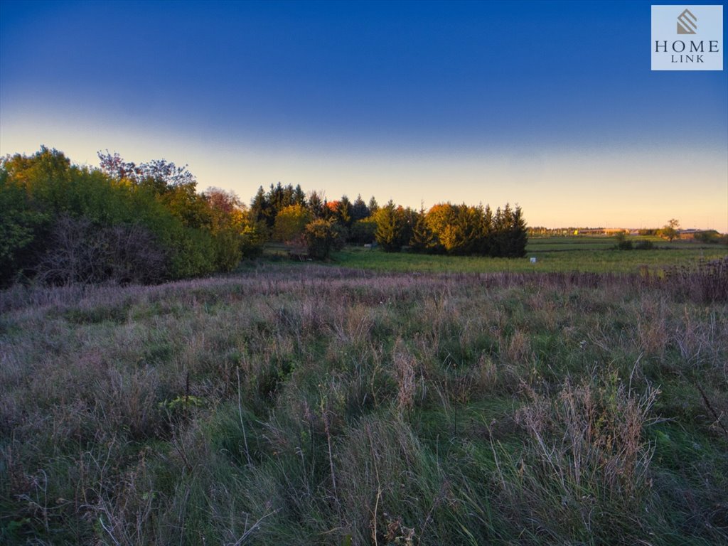 Działka budowlana na sprzedaż Gryźliny, Kościelna  1 048m2 Foto 2