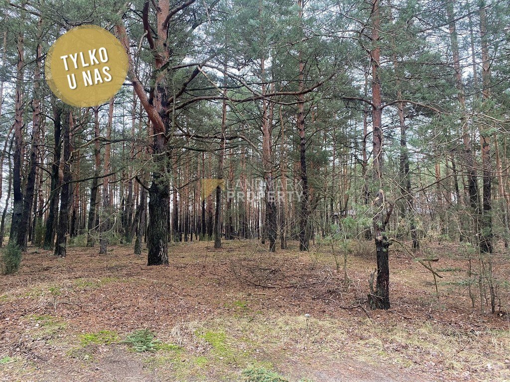 Działka z lasem pod dom z MPZP, media, 4,5 km od Radzymina. Radzymin, Piaskowa  1 549m2 Foto 1
