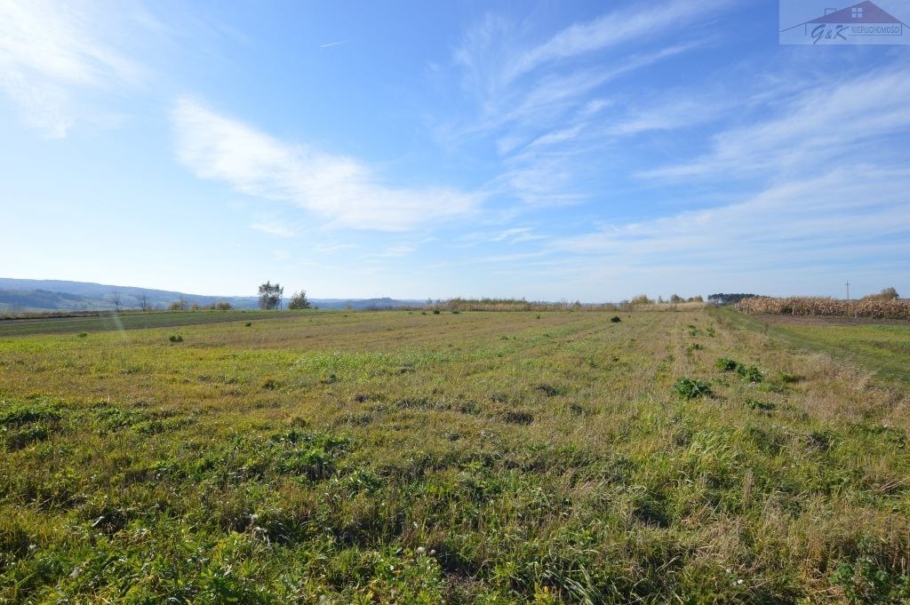 Działka rolna na sprzedaż Bachórzec 7 000m2 Foto 1 Działka rolna na sprzedaż Bachórzec 7 000m2 Foto 1