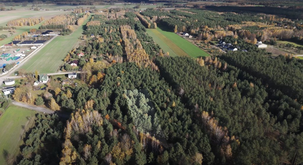 Działka budowlana na sprzedaż Wodzierady  2 618m2 Foto 1