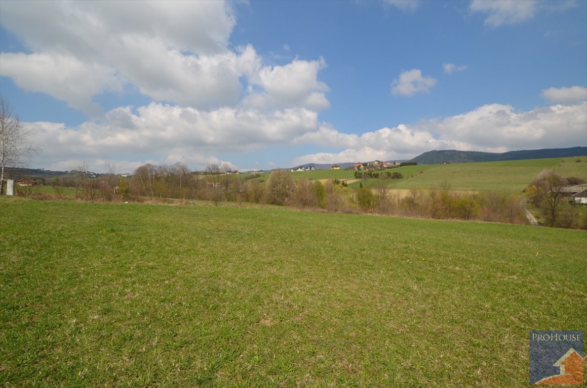 Działka budowlana na sprzedaż Pisarzowa  2 844m2 Foto 1