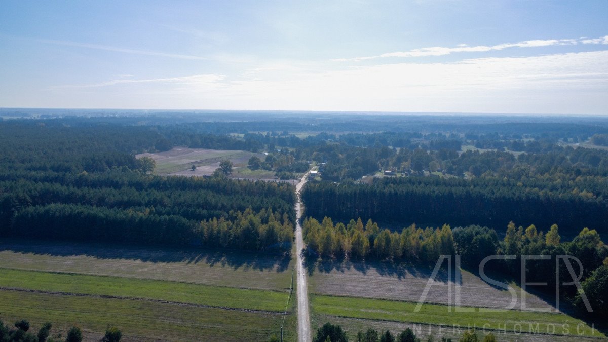 Działka rekreacyjna na sprzedaż Michałowo  9 500m2 Foto 12