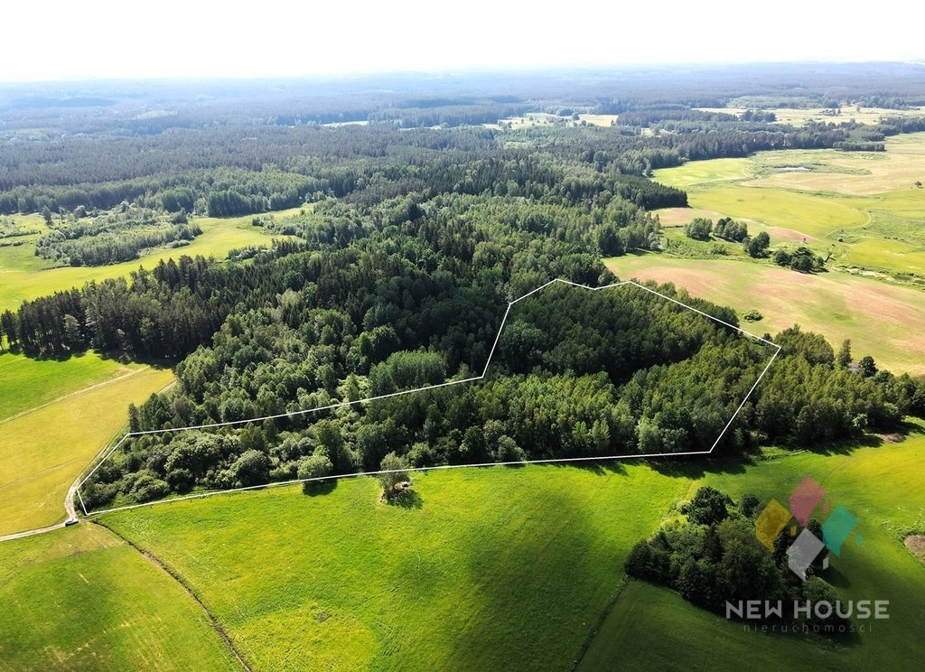 Działka siedliskowa na sprzedaż Próle  38 100m2 Foto 9