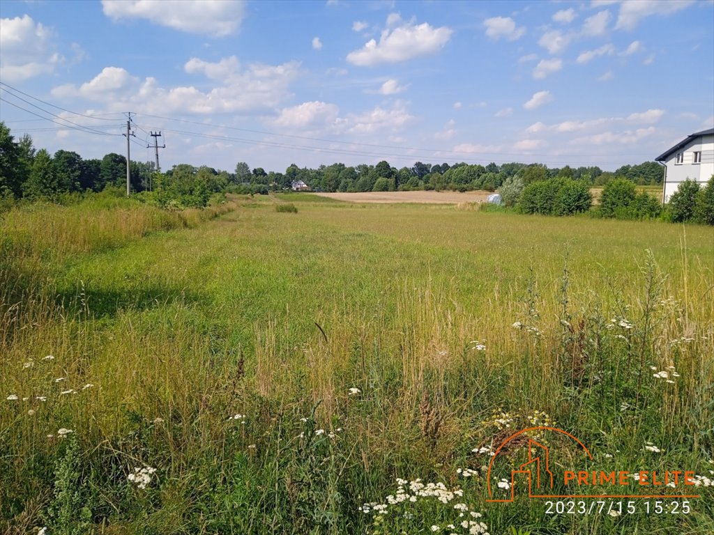 Działka przemysłowo-handlowa na sprzedaż Janów  9 810m2 Foto 4