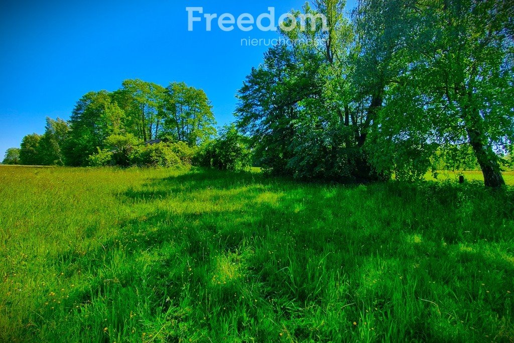 Działka rolna na sprzedaż Maksymilianów  32 700m2 Foto 6