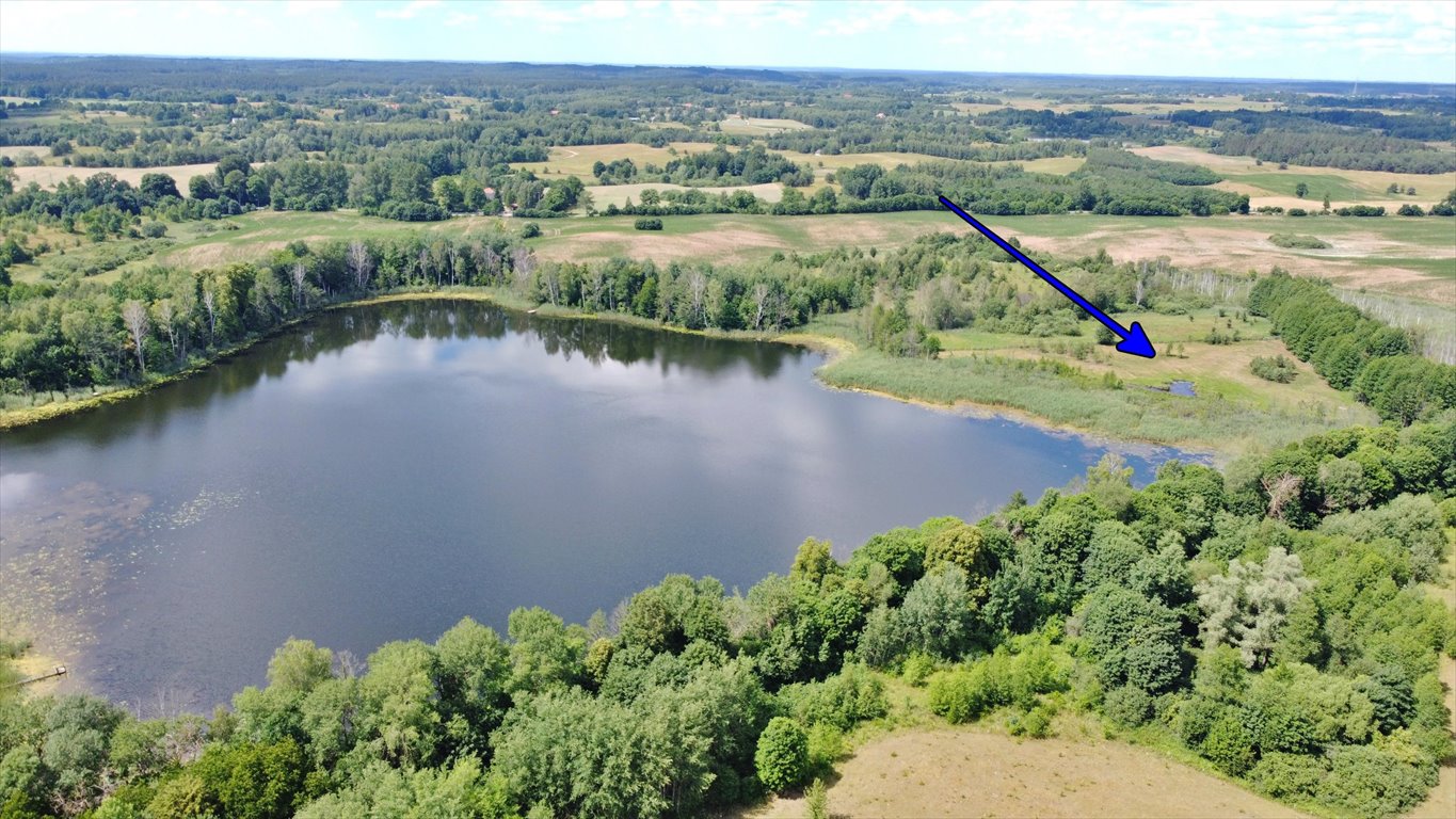 Działka rolna na sprzedaż Elganowo  10 700m2 Foto 10