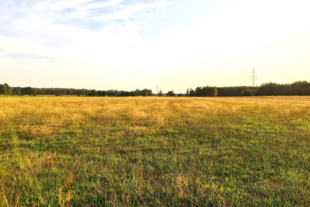 Działka siedliskowa na sprzedaż Zuzułka  9 900m2 Foto 2