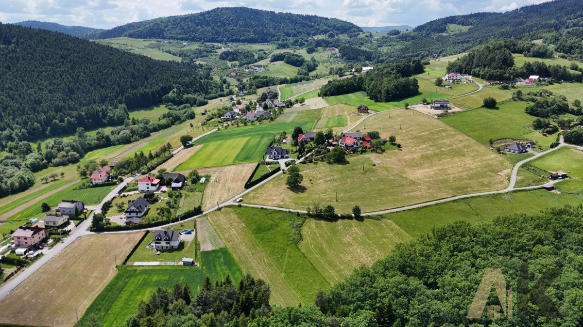 Działka budowlana na sprzedaż Przyszowa  2 300m2 Foto 3