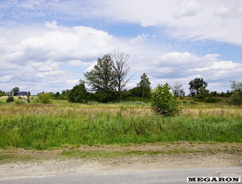 Działka inna na sprzedaż Brzeziny-Kolonia  1 491m2 Foto 1