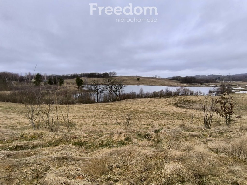 Działka rolna na sprzedaż Gaworkowo  43 900m2 Foto 1