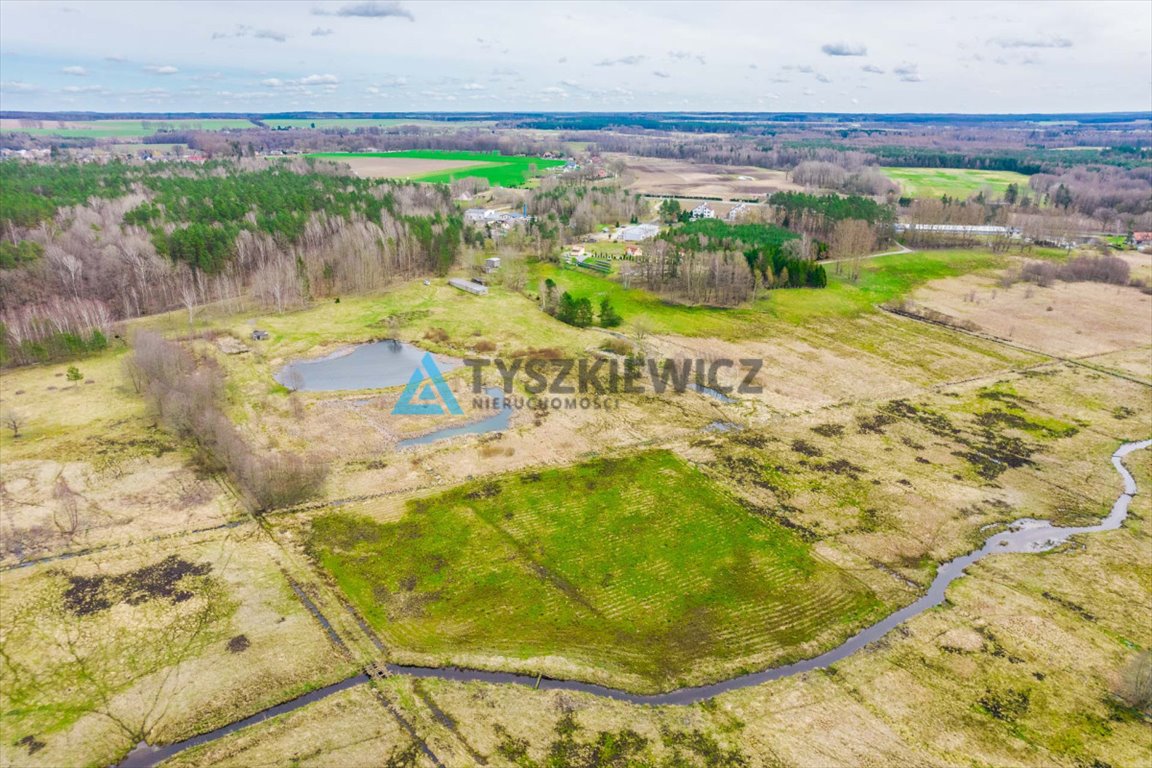 Działka rolna na sprzedaż Zielin  59 900m2 Foto 6