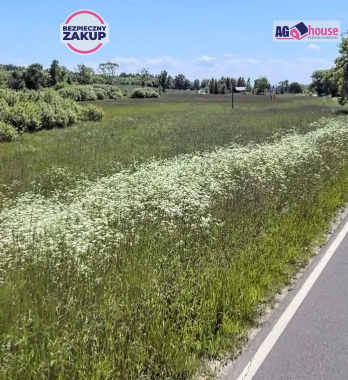 Polecam działkę 3,3 ha z własnym stawem i potencjałem inwestycyjnym Maszewko  33 000m2 Foto 1